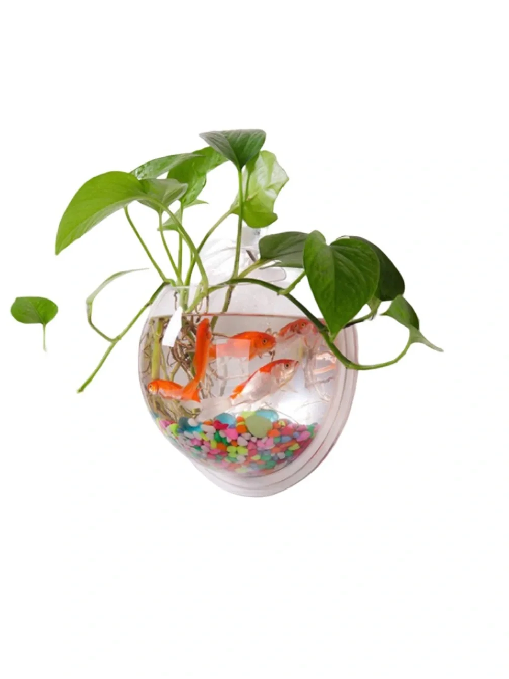 🚨Sale🚨 NWT Clear Acrylic Wall-Mount Hanging Fish Bowl Terrarium